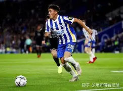 熊猫体育官网-布莱恩普顿主场遭遇惨败，保级压力不减(布菜顿对伯恩茅斯)